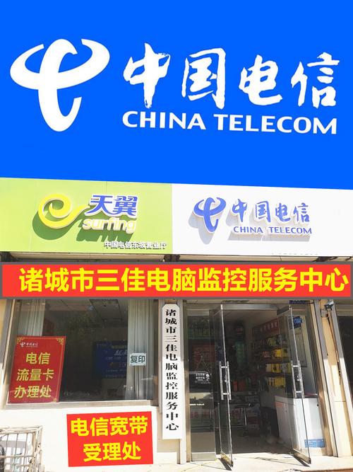 信息化浪潮中的贴心守护 诸城市三佳电脑服务部信息咨询服务侧记
